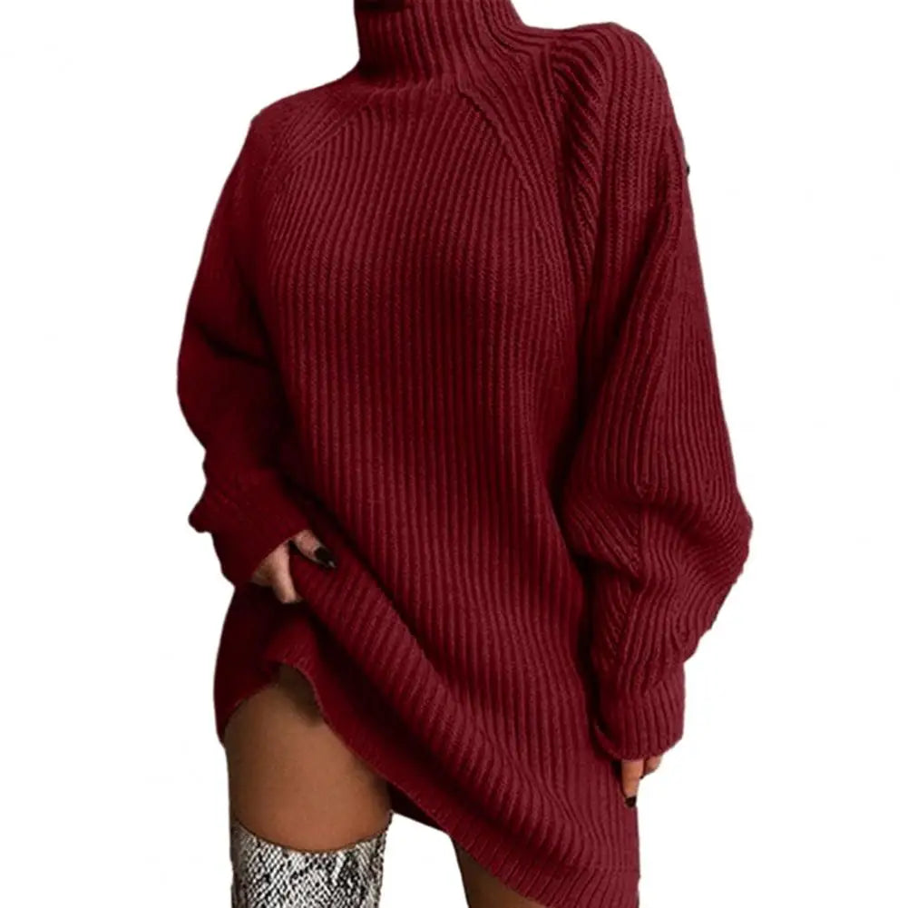 Christine Brewer Esther turtleneck knit sweater dress for women, featuring a cozy, fitted design with long sleeves and ribbed texture.