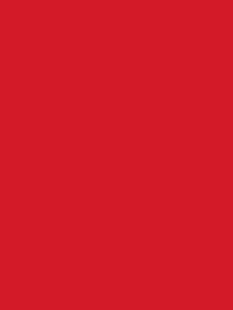 Camille | Red Long Sleeve Belted Midi Dress for Women